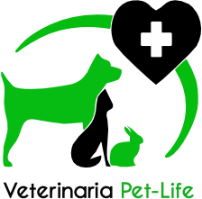 branding logo